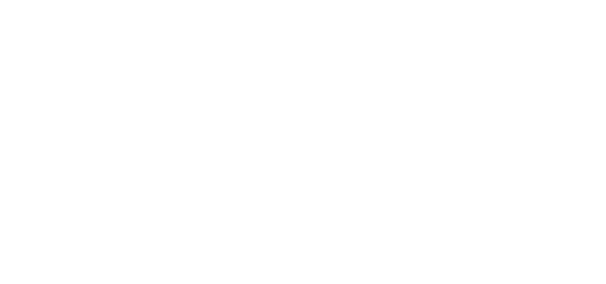 Logo BML Group