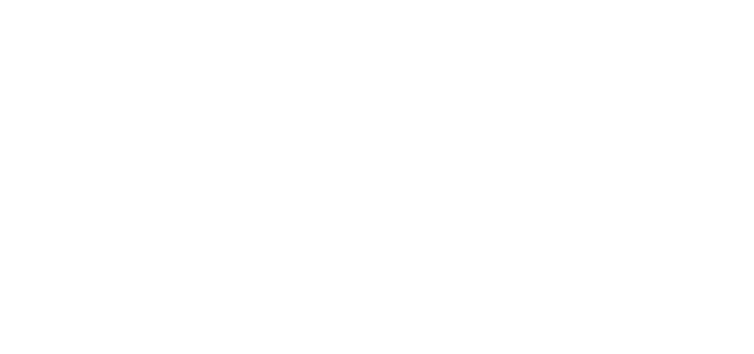 Logo BML Group